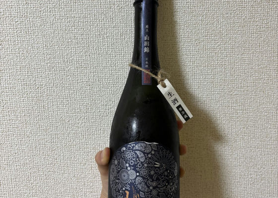 alt 1