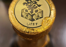alt 3