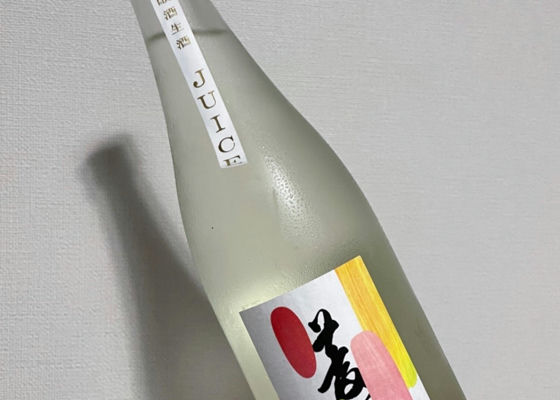 alt 1