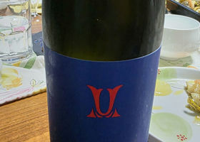 alt 1