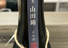 alt 3