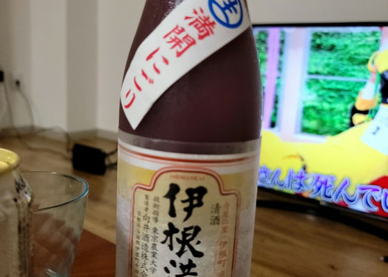 伊根満開