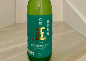 alt 4