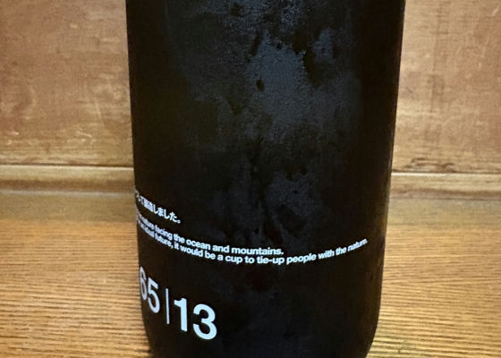 alt 1