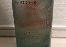 alt 3