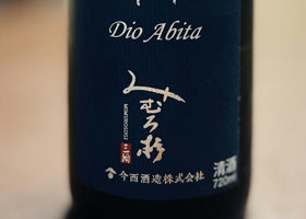 alt 1