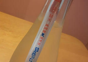 alt 2