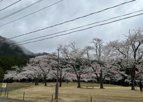 ずZOOっと旭山 チェックイン 3