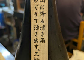 alt 3
