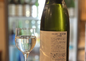 alt 3