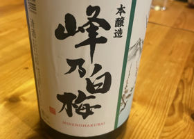alt 1