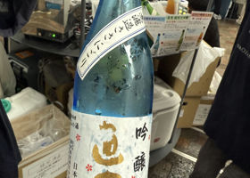 alt 3