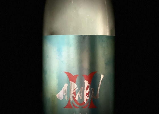 alt 1