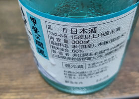 alt 1