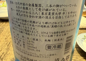 alt 3
