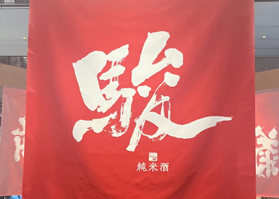 alt 1