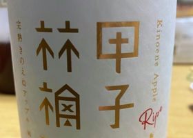 alt 1