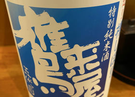alt 1