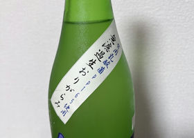 alt 2