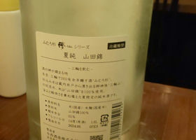 alt 1