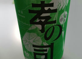 alt 1