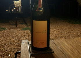 alt 1