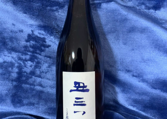 alt 1