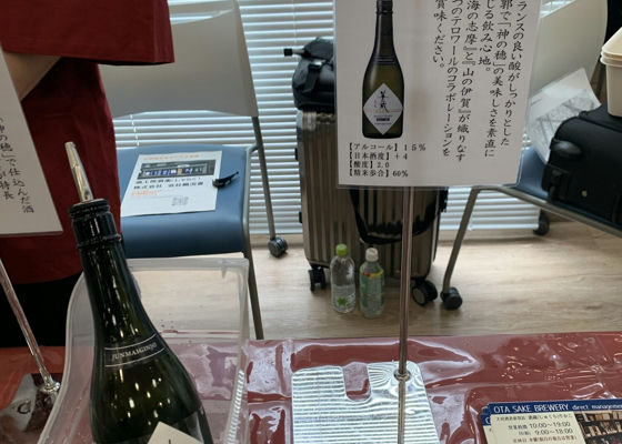 alt 1
