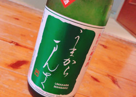 alt 1