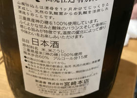 alt 3