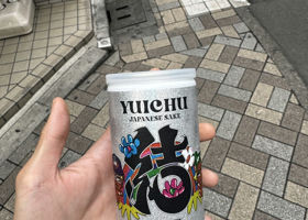 alt 1