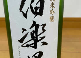 alt 1