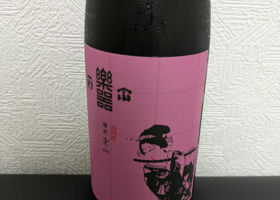 alt 1