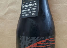 alt 1