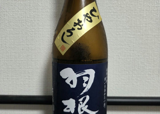 alt 1