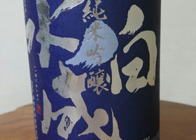 alt 1