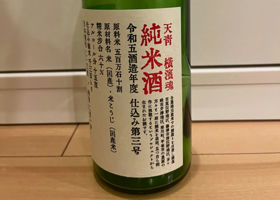 alt 1