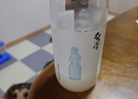 alt 1