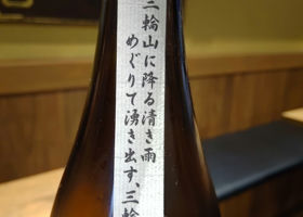 alt 3
