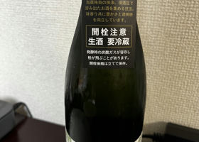 alt 3