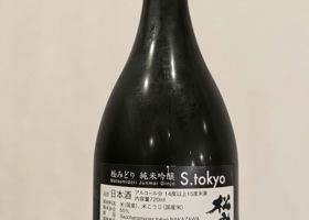 alt 1