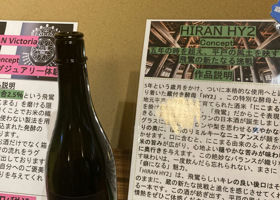 alt 3