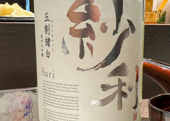 Sari 签到 1