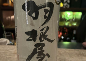 alt 1