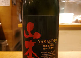 Yamamoto 签到 1