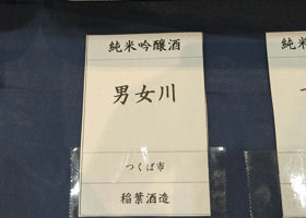 alt 2