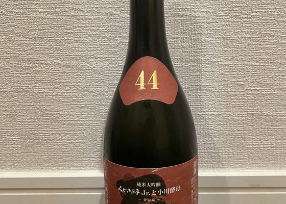 alt 1