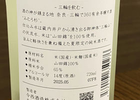 alt 3