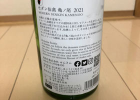 alt 2