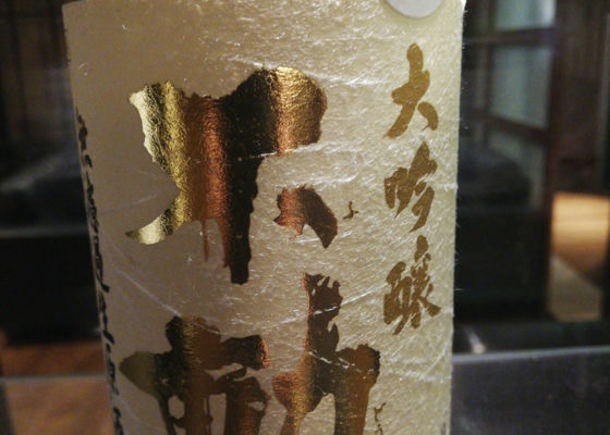 alt 1